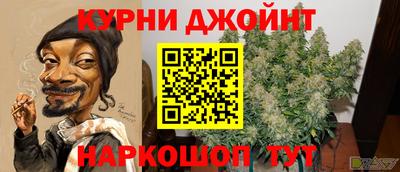 МДПВ Новокубанск