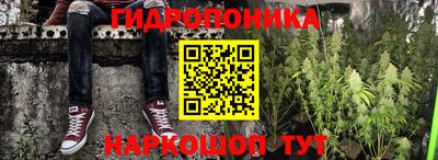 МДПВ Новокубанск