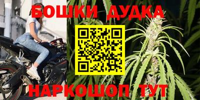 МДПВ Новокубанск