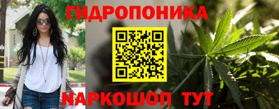 ешки Новозыбков