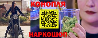 МДПВ Новокубанск