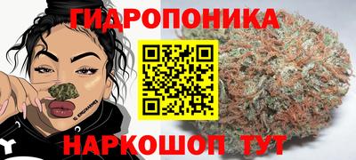 круглые Новодвинск
