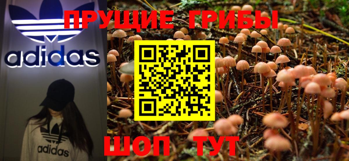 Псилоцибиновые грибы MAGIC MUSHROOMS  Псилоцибиновые грибы Magic Shrooms  Вход с VPN  Таганрог 